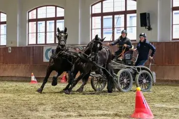 Halové závody spřežení 15. 3. 2025